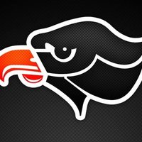 Bethel Park Renegade Ultimate (@renegade_bp_ult) 's Twitter Profile