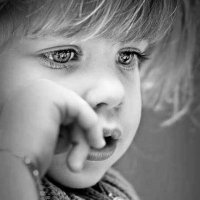 مغرد خارج السرب (@exypavxkbua6d5b) 's Twitter Profile