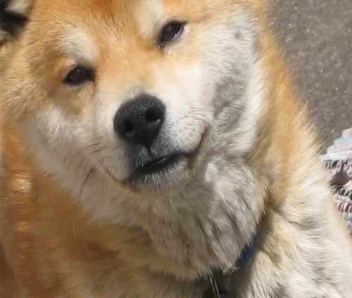 Shoma meets アンラック