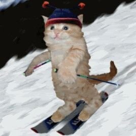 SilEnZ_0fficial's profile picture. Flo ✖ 18 Jahre ✖
Ich nerve Leute professionel auf Twitter                                                                
❌Wer Ernst nimmt ist Hurensohn❌