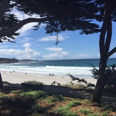 HoseinBahramian's profile picture. 