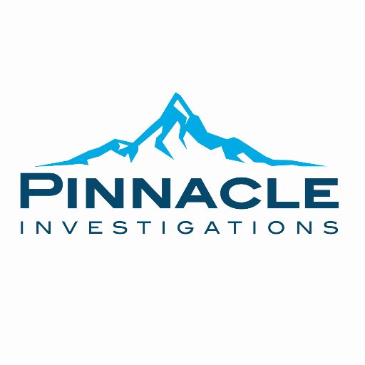 Pinnacle Investigations is a full service risk management firm conducting real time, thorough and accurate background checks and verifications.