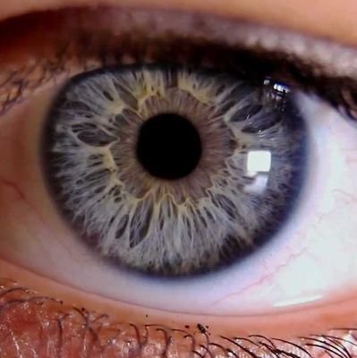 JJNoble3's profile picture. Proud Socialist. Believes in kindness. Apparently middle aged (eek). Often sad, but trying to pass the test of having a good life.