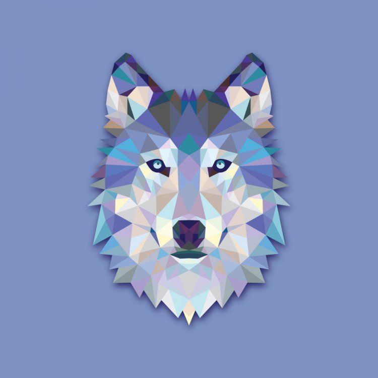 ITWolf_CH's profile picture. Tipps & Tricks rund um den PC!