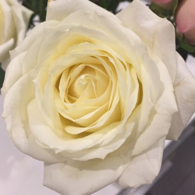 elkenz3's profile picture. la sante passe par la nature sans produits toxiques.