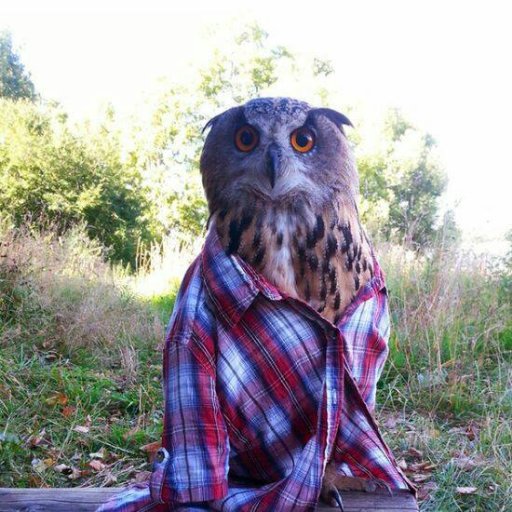 KevMar33's profile picture. 