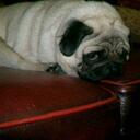 kate stratton - @sirena65 - Twitter