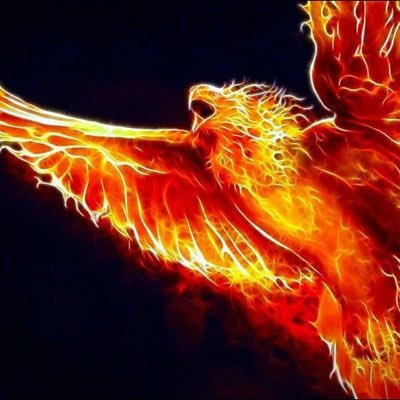 foxxpitbull's profile picture. Music Hip-Hop/Rap Tech Professionals & Reporters