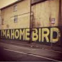 kodomonster (@kodomonster) 's Twitter Profile Photo kodomonster (@kodomonster) 's Twitter Profile Photo