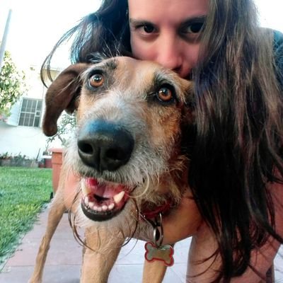 Ingeniera en Sistemas. Java Developer. Hermana mayor. Tía malcriadora. Mi otra mitad también tuitea (mucho). Spanglish.