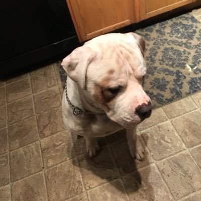 glujer1507's profile picture. Hi