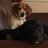 BCAKADAD's profile image