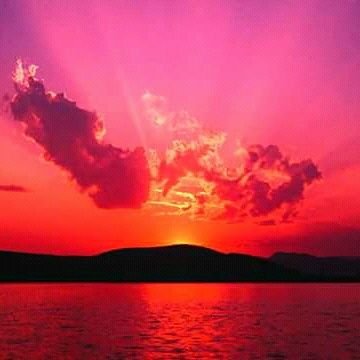 Retweets & Hearts , do not necessarily
mean agreement , but maybe. GMT+01:00