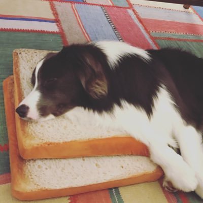 116majun's profile picture. 