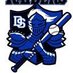 Dover Sherborn HS Baseball (@DSRaidersBasebl) Twitter profile photo