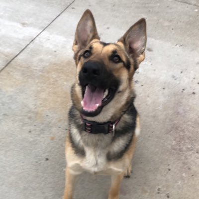 CadenPinion's profile picture. Baseball Soccer NFL NBA