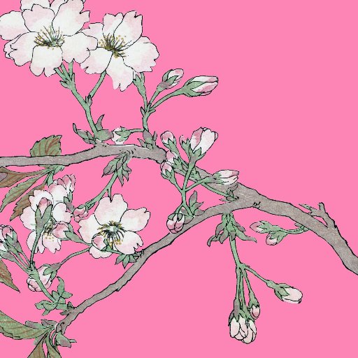 22qFamBC's profile picture. 