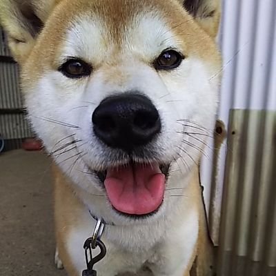 kazu77017's profile picture. 自然や動物、イベント等📷撮りが好きです😄
後、♨️温泉と🍴食べ歩きも😁
放置状態でしたけど、少しずつ活動しようと思ってますので、
皆さん宜しくです(⌒0⌒)／