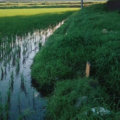 使ってないよさんのプロフィール画像