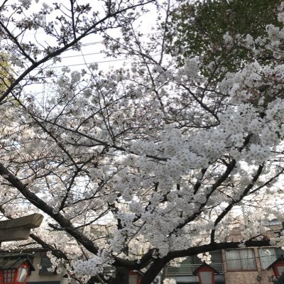 V0Vl7's profile picture. 