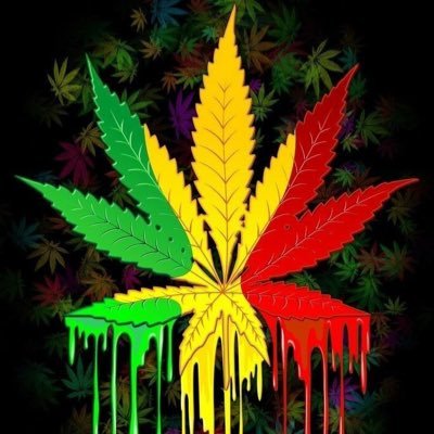 420friendly 💨 GoGreen🌳 Free Your Mind.