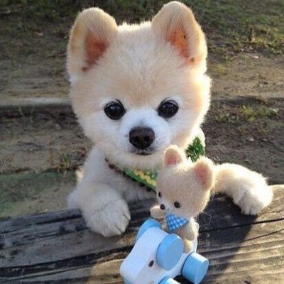 Rabby@仮想通貨投資