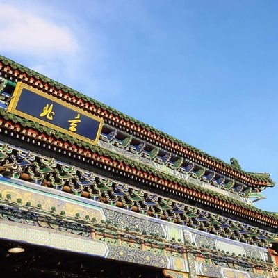 秋鱼 Qiuyuer Twitter 秋鱼 Qiuyuer Twitter
