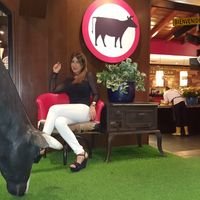 yelidiaz's profile picture. VENEZOLANA 💛💙❤ Amante de la Libertad y Democracia .. Cada día más cerca de la LIBERTAD.