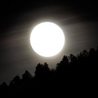 Rune ulv (@tunglet2) 's Twitter Profile