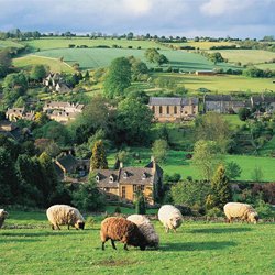 Gorgeous Cotswold/Oxfordshire Self Catering Village Barn. All the comforts for a relaxing stay & Local Whats On Guide. Children/Dogs welcome. Guests 6/8, 4 Dogs