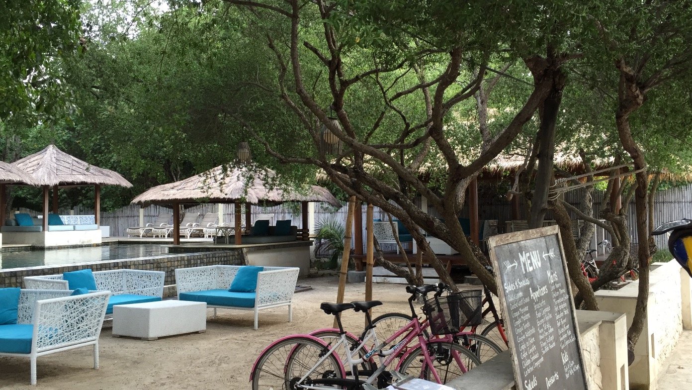 nehalbasuniy's profile picture. لا اله الا انت سبحانك اني كنت من الظالمين