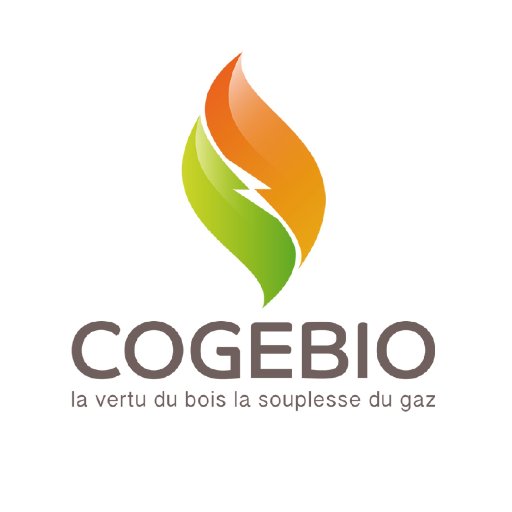 Production d'#énergie à partir de #déchets de #biomasse. Solution brevetée couplant #gazéification et brûleur bi-combustible. #Startup #DD #bois #recyclage