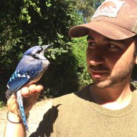 James Klarevas (@jklarevas) 's Twitter Profile