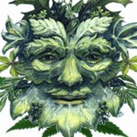 North Manchester Enviromentalists (@nmenvironment) 's Twitter Profile