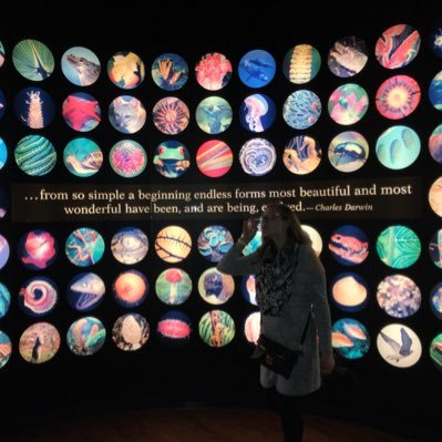 xRiceCakex's profile picture. 