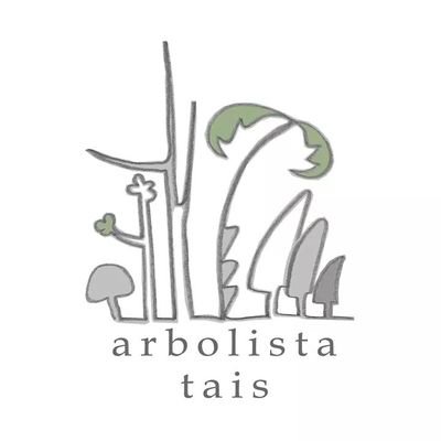 Empresa de poda en altura y tala de árboles y palmeras. Diseño de jardines.