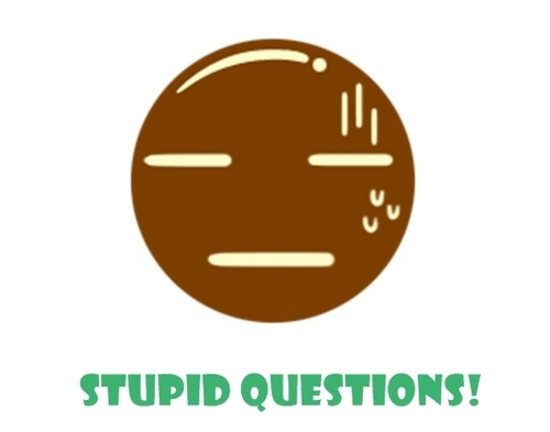 stquestions's profile picture. 