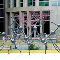 Institute of Biosciences and Bioengineering (@riceuibb) 's Twitter Profile