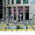 Institute of Biosciences and Bioengineering (@riceuibb) Twitter profile photo Institute of Biosciences and Bioengineering (@riceuibb) Twitter profile photo