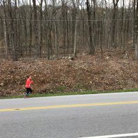 Lucinda Eversman (@spirit1168) 's Twitter Profile Photo Lucinda Eversman (@spirit1168) 's Twitter Profile Photo
