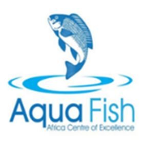 Холдинг аква лого. Aqua лого рыбалка. Аква фиш. Аква фиш. Аквафиш краснодар.