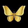 authorelaina's profile picture. Writer, Reader, Editor, Blogger