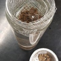 Hamilton-Wentworth SCIA (@hamwentsoil) 's Twitter Profile