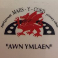 Maesycoed Primary(@MaesycoedPri) 's Twitter Profileg