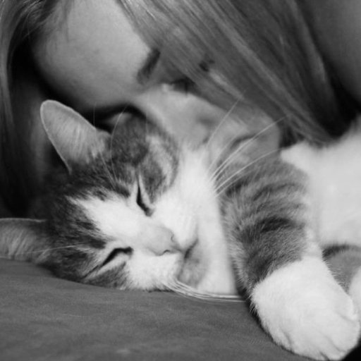 Live well Laugh often Love much..