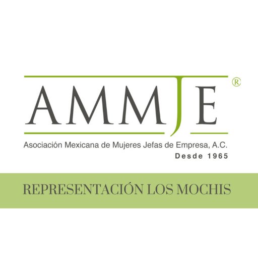 Asociación Mexicana de Mujeres Jefas de Empresas Los Mochis AC