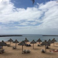 Sam Adams (@manfa77) 's Twitter Profile