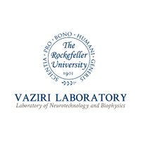 Vaziri Lab(@VaziriLab) 's Twitter Profile Photo