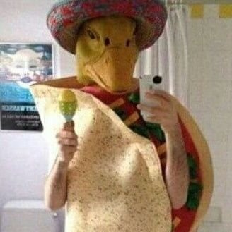 Duckan_Fox's profile picture. Oink