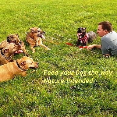 lillysdiner1's profile picture. Hertfordshire's Raw Dog Food Supplier